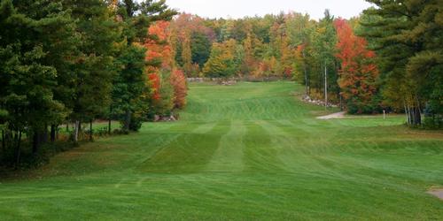 golf article