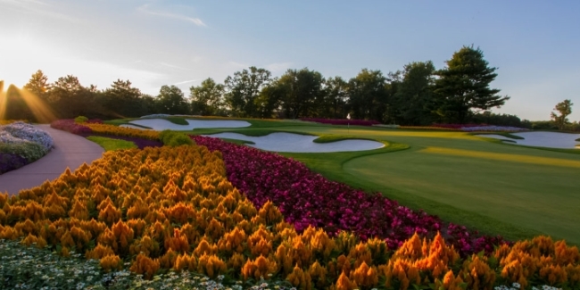 SentryWorld Flower Hole