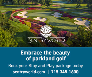 SentryWorld