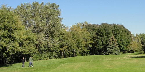 Doyne Park Golf Course