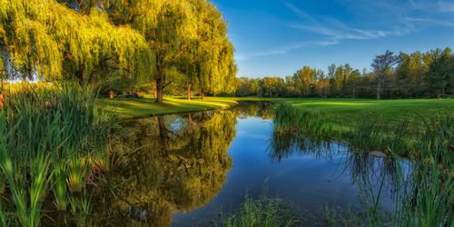Deerfield Country Club - Emerald / Wizard
