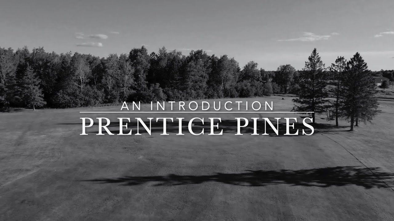 Prentice Pines: An Introduction